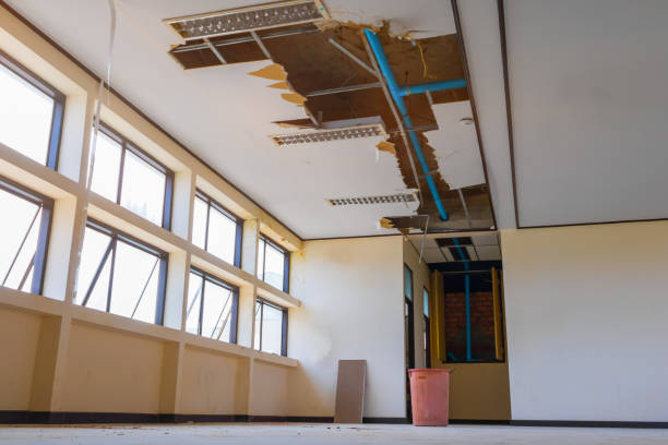 Best Flooded house restoration  in Somerset, OH