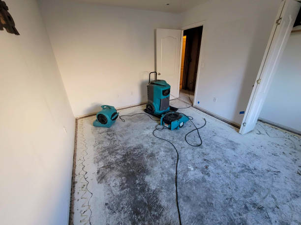 Best Carpet water damage restoration  in Somerset, OH