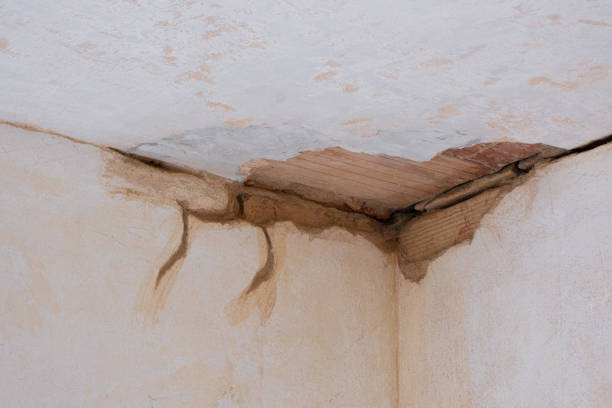 Best Sewage cleanup and water damage restoration  in Somerset, OH