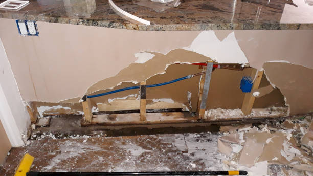 Best Basement water damage restoration  in Somerset, OH
