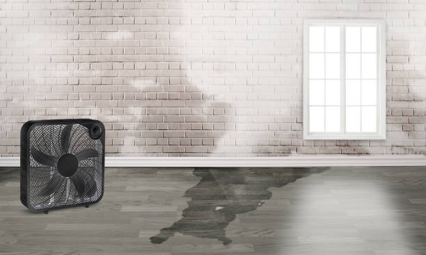 Carpet water damage restoration in Somerset, OH