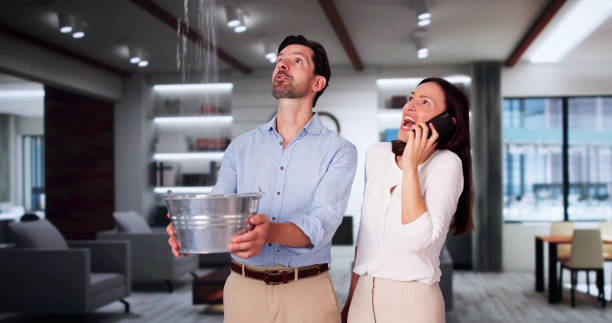 Best 24/7 water damage repair  in Somerset, OH